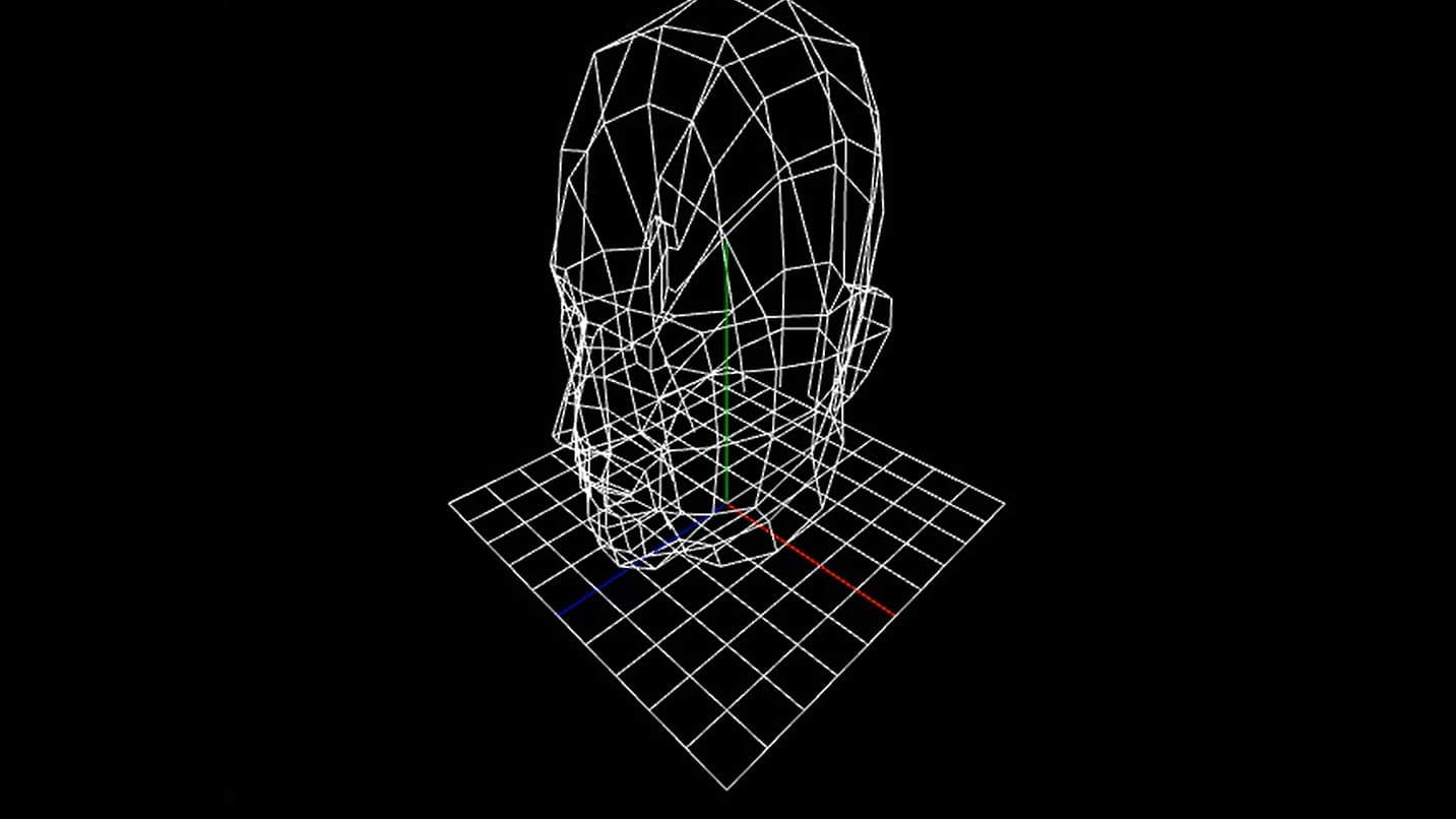 wireframe head